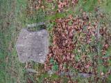 image of grave number 614290